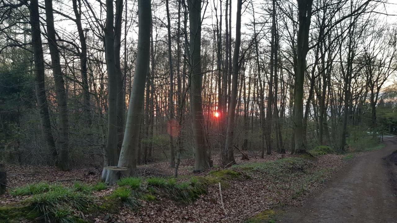 Apartament Moin, Moin & Ahoi! Kilonia Zewnętrze zdjęcie