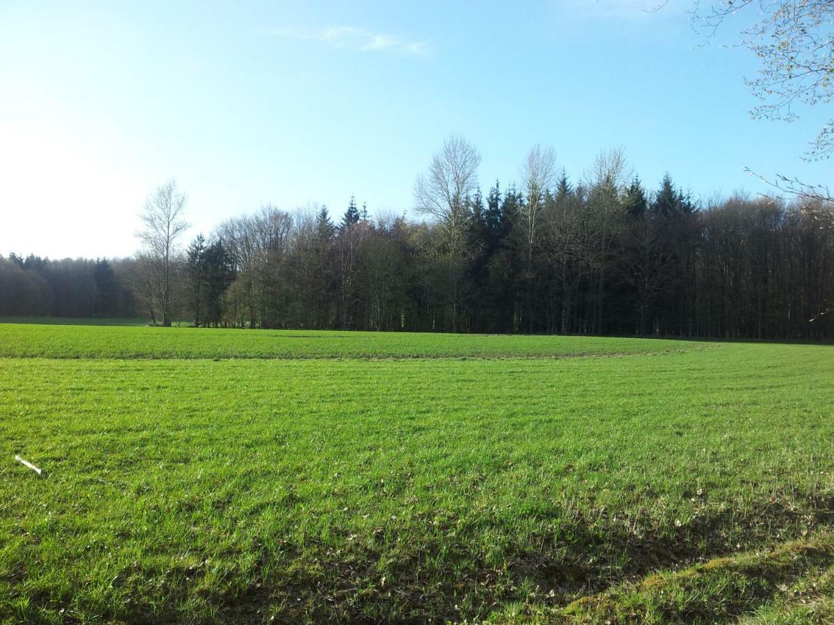 Apartament Moin, Moin & Ahoi! Kilonia Zewnętrze zdjęcie